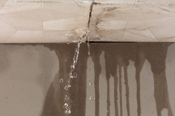 Professional Structural Drying technician working in New Baltimore, OH